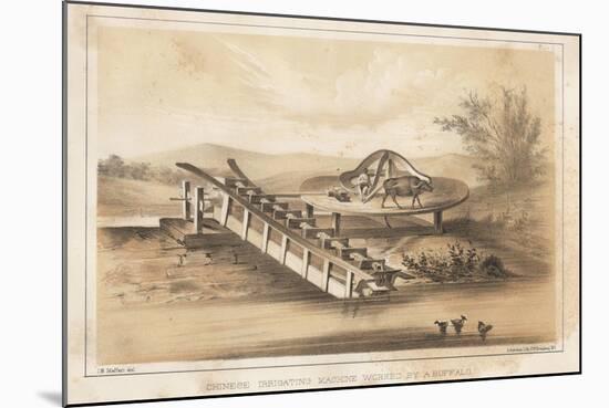 Chinese Irrigation Machine Worked by a Buffalo-Meffert-Mounted Giclee Print