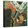 Chinese jacket-Linda Arthurs-Stretched Canvas
