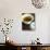 Chinese Jasmine Tea-Tara Fisher-Stretched Canvas displayed on a wall