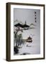 Chinese Lake-null-Framed Giclee Print