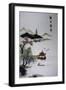 Chinese Lake-null-Framed Giclee Print