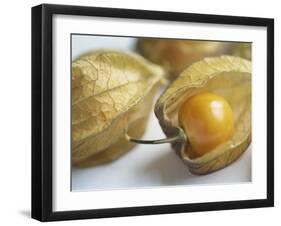 Chinese Lantern Fruit-Lee Frost-Framed Photographic Print