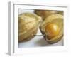 Chinese Lantern Fruit-Lee Frost-Framed Photographic Print