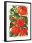 Chinese Lantern Plant-null-Framed Art Print