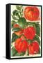 Chinese Lantern Plant-null-Framed Stretched Canvas