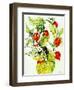 Chinese Lantern Spray, 2005-Joan Thewsey-Framed Giclee Print