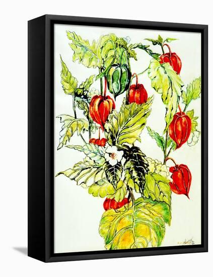 Chinese Lantern Spray, 2005-Joan Thewsey-Framed Stretched Canvas