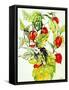 Chinese Lantern Spray, 2005-Joan Thewsey-Framed Stretched Canvas