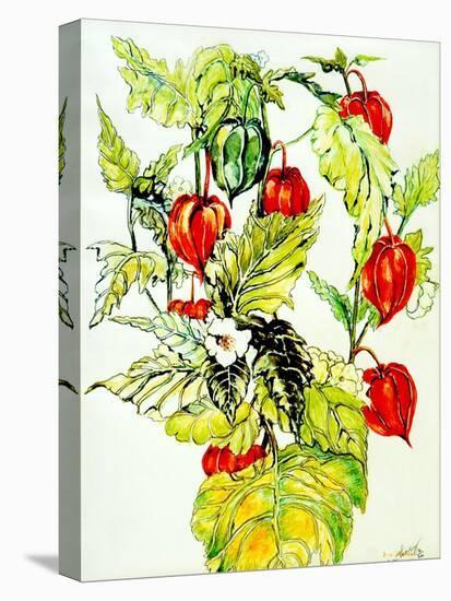 Chinese Lantern Spray, 2005-Joan Thewsey-Stretched Canvas