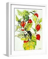 Chinese Lantern Spray, 2005-Joan Thewsey-Framed Giclee Print