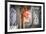 Chinese Lanterns and Wall Paintings in an Alley of Lijiang's Old Town, Lijiang, Yunnan, China, Asia-Andreas Brandl-Framed Photographic Print