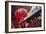 Chinese lanterns at a temple in Chinatown at night, Kuala Lumpur, Malaysia, Southeast Asia, Asia-Matthew Williams-Ellis-Framed Photographic Print