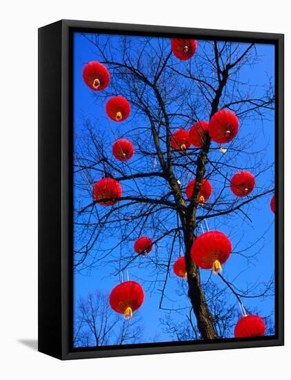 Chinese Lanterns Hanging from Trees in Tivoli Gardens, Copenhagen, Denmark-Izzet Keribar-Framed Stretched Canvas