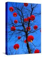 Chinese Lanterns Hanging from Trees in Tivoli Gardens, Copenhagen, Denmark-Izzet Keribar-Stretched Canvas