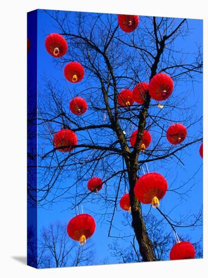 Chinese Lanterns Hanging from Trees in Tivoli Gardens, Copenhagen, Denmark-Izzet Keribar-Stretched Canvas