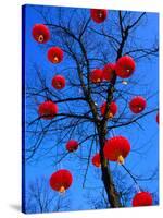 Chinese Lanterns Hanging from Trees in Tivoli Gardens, Copenhagen, Denmark-Izzet Keribar-Stretched Canvas