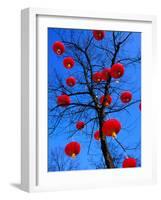 Chinese Lanterns Hanging from Trees in Tivoli Gardens, Copenhagen, Denmark-Izzet Keribar-Framed Photographic Print