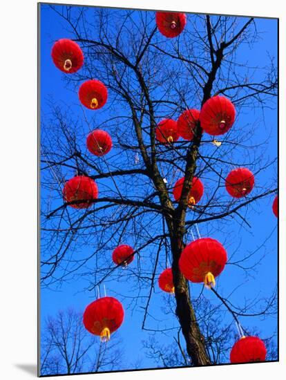 Chinese Lanterns Hanging from Trees in Tivoli Gardens, Copenhagen, Denmark-Izzet Keribar-Mounted Photographic Print