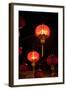 Chinese Lanterns II-Erin Berzel-Framed Photographic Print
