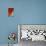 Chinese Lanterns in Red at the Jade Buddha Temple, Shanghai, China-Darrell Gulin-Photographic Print displayed on a wall