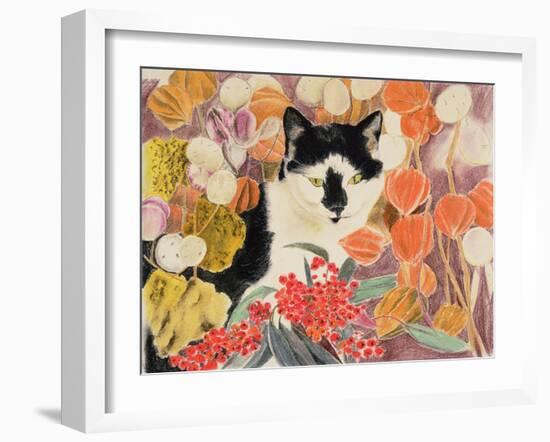 Chinese Lanterns-Anne Robinson-Framed Giclee Print