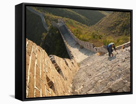 Chinese Man Climbs Great Wall of China, UNESCO World Heritage Site, Huanghuacheng (Yellow Flower) a-Kimberly Walker-Framed Stretched Canvas