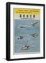 Chinese Military Poster Aircraft Identification Chart, Soviet Union Aircraft-null-Framed Giclee Print