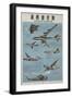 Chinese Military Poster Aircraft Identification Chart, US Aircraft-null-Framed Giclee Print