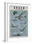 Chinese Military Poster Aircraft Identification Chart, US Aircraft-null-Framed Giclee Print