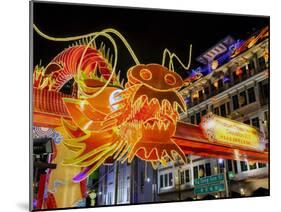 Chinese New Year Celebrations, New Bridge Road, Chinatown, Singapore, Southeast Asia, Asia-Gavin Hellier-Mounted Photographic Print