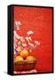 Chinese New Year Decoration--A Basket of Oranges with Plum Flower on a Festive Background.-Liang Zhang-Framed Stretched Canvas