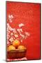 Chinese New Year Decoration--A Basket of Oranges with Plum Flower on a Festive Background.-Liang Zhang-Mounted Photographic Print