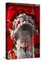 Chinese New Year, France-Godong-Stretched Canvas