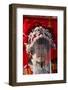 Chinese New Year, France-Godong-Framed Photographic Print