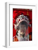 Chinese New Year, France-Godong-Framed Photographic Print