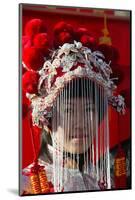 Chinese New Year, France-Godong-Mounted Photographic Print