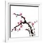 Chinese Painting Of Flowers, Plum Blossom, On White Background-elwynn-Framed Art Print