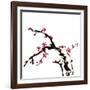 Chinese Painting Of Flowers, Plum Blossom, On White Background-elwynn-Framed Art Print