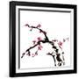 Chinese Painting Of Flowers, Plum Blossom, On White Background-elwynn-Framed Art Print