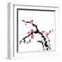 Chinese Painting Of Flowers, Plum Blossom, On White Background-elwynn-Framed Art Print