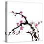 Chinese Painting Of Flowers, Plum Blossom, On White Background-elwynn-Stretched Canvas