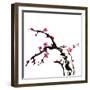 Chinese Painting Of Flowers, Plum Blossom, On White Background-elwynn-Framed Art Print