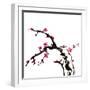 Chinese Painting Of Flowers, Plum Blossom, On White Background-elwynn-Framed Art Print