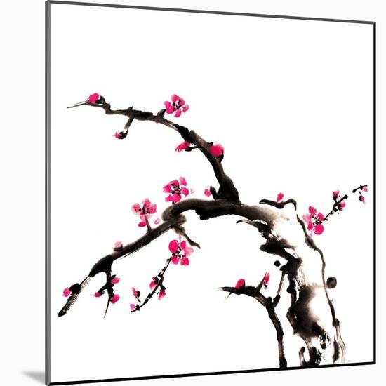 Chinese Painting Of Flowers, Plum Blossom, On White Background-elwynn-Mounted Art Print