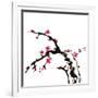 Chinese Painting Of Flowers, Plum Blossom, On White Background-elwynn-Framed Art Print