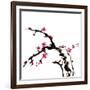 Chinese Painting Of Flowers, Plum Blossom, On White Background-elwynn-Framed Art Print