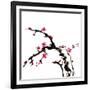 Chinese Painting Of Flowers, Plum Blossom, On White Background-elwynn-Framed Art Print