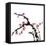 Chinese Painting Of Flowers, Plum Blossom, On White Background-elwynn-Framed Stretched Canvas