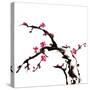 Chinese Painting Of Flowers, Plum Blossom, On White Background-elwynn-Stretched Canvas