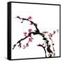 Chinese Painting Of Flowers, Plum Blossom, On White Background-elwynn-Framed Stretched Canvas